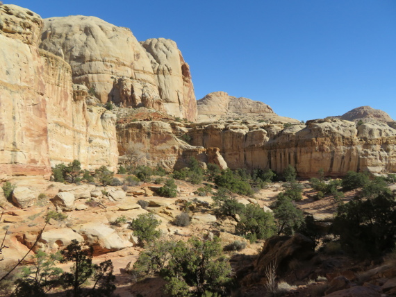 USA SW: Capitol Reef, Hickman Rock Bridge, , Walkopedia