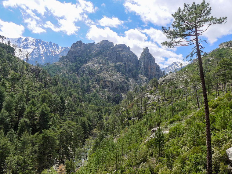 France Corsica: Northern Highlands, Restonica Valley, Restonica Gorge , Walkopedia