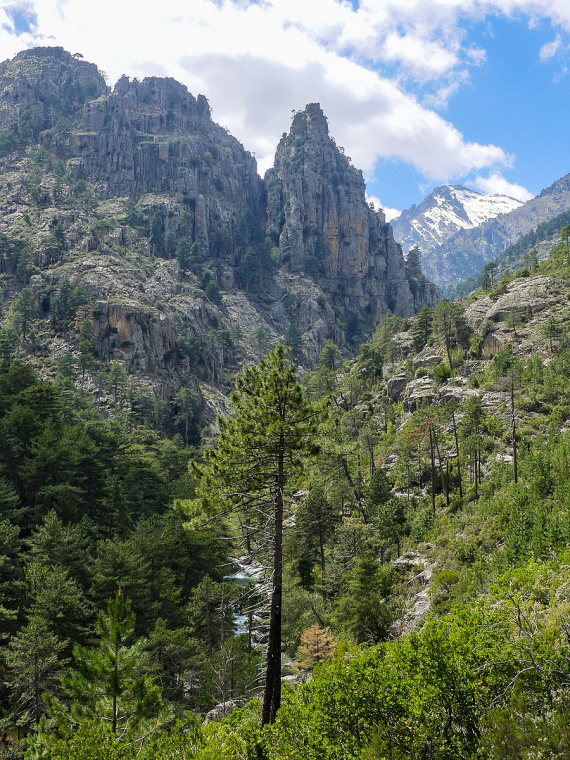 France Corsica: Northern Highlands, Restonica Valley, Restonica Gorge , Walkopedia