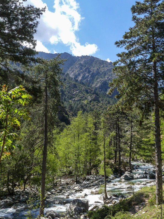 France Corsica: Northern Highlands, Restonica Valley, Restonica Gorge , Walkopedia