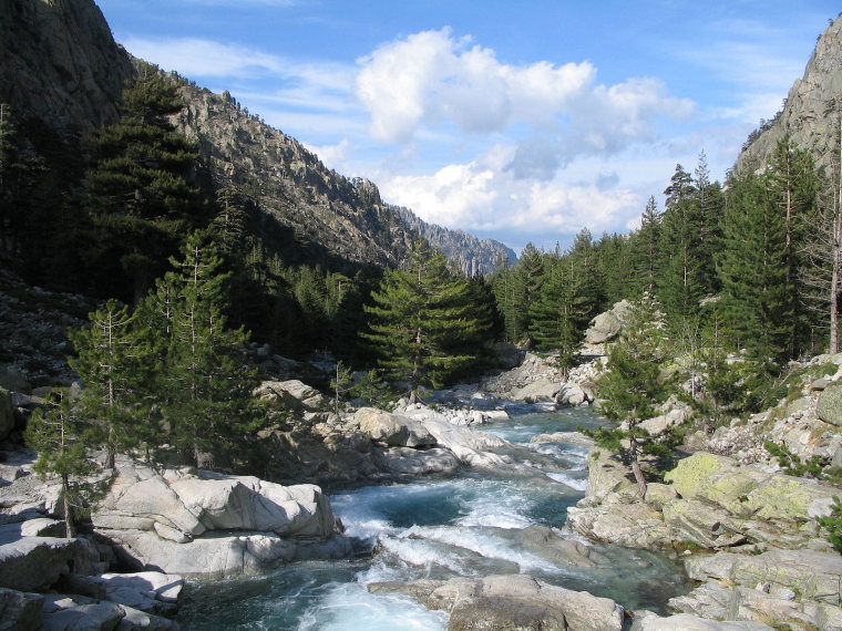 France Corsica: Northern Highlands, Restonica Valley, Riviere-restonica , Walkopedia