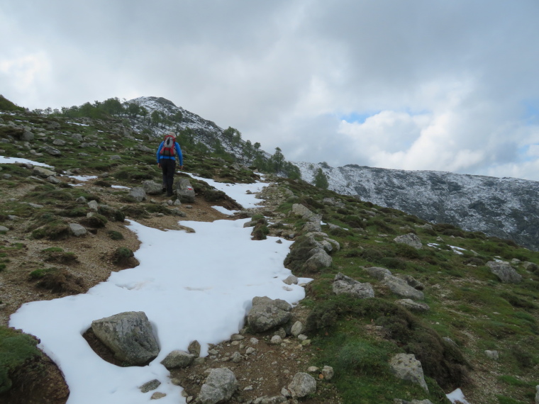 France Corsica: Northern Highlands, Col de Vergio to Lac de Nino, , Walkopedia