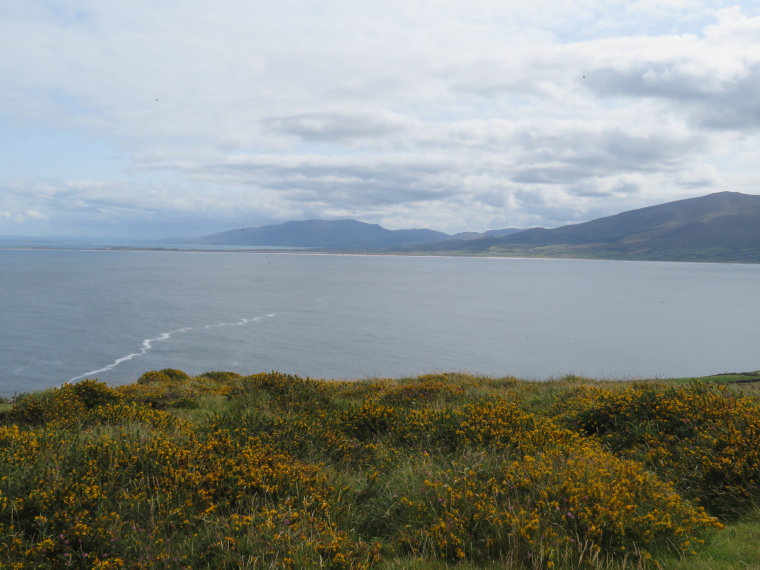 Ireland Kerry Dingle Peninsula, Sauce Creek Circuit, E along the peninsula from Brandon Point, Walkopedia