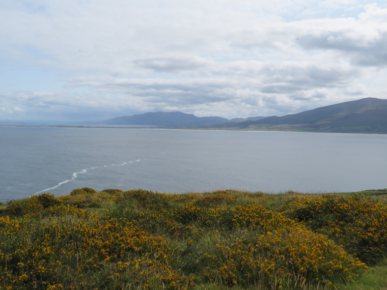 Sauce Creek Circuit
E along the peninsula from Brandon Point - © William Mackesy