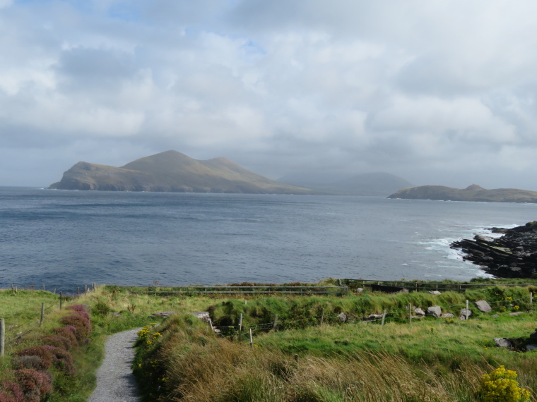 Ireland Kerry Iveragh Peninsula, Beenkeragh, , Walkopedia