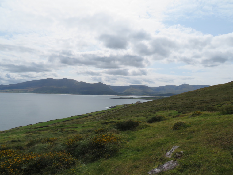 Ireland Kerry Dingle Peninsula, Beenoskee and Stradbally Mountain, Beenoskee (L) to Slievanea from Brandon Point, Walkopedia