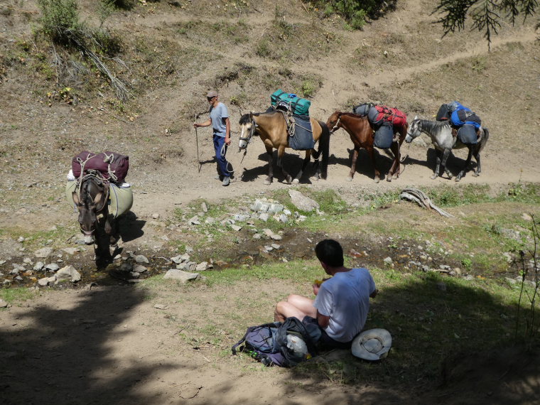 Kyrgyzstan, Pamir-Alai Mountains, Baggage horses, Walkopedia