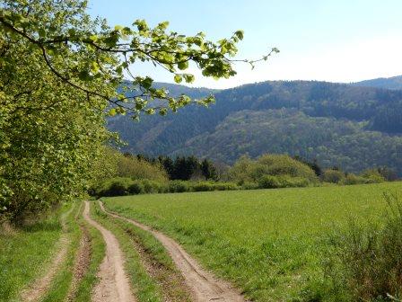 Germany, Along the Ahr-river, Rotweinwanderweg , Ahrtal day 3, Walkopedia