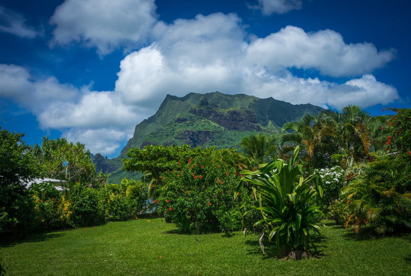 French Polynesia Society Islands, Moorea, Moorea Garden , Walkopedia