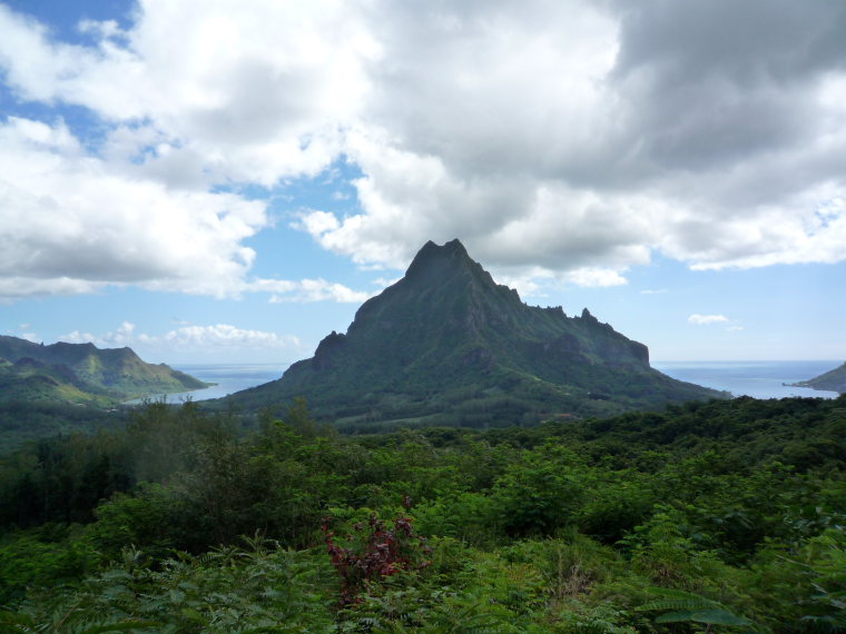 French Polynesia Society Islands, Moorea, Moorea Island , Walkopedia