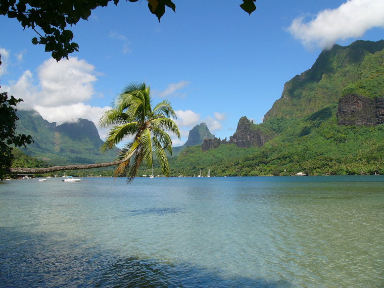 French Polynesia Society Islands, Moorea, Moorea baie cook, Walkopedia