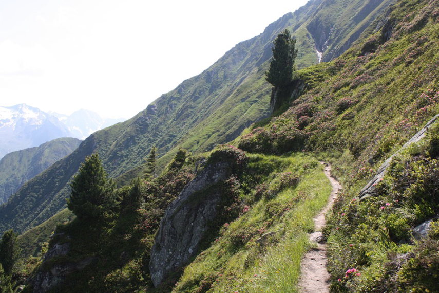 Austria Zillertal Alps, Zillertal Alps, Berliner Hohenweg, Walkopedia