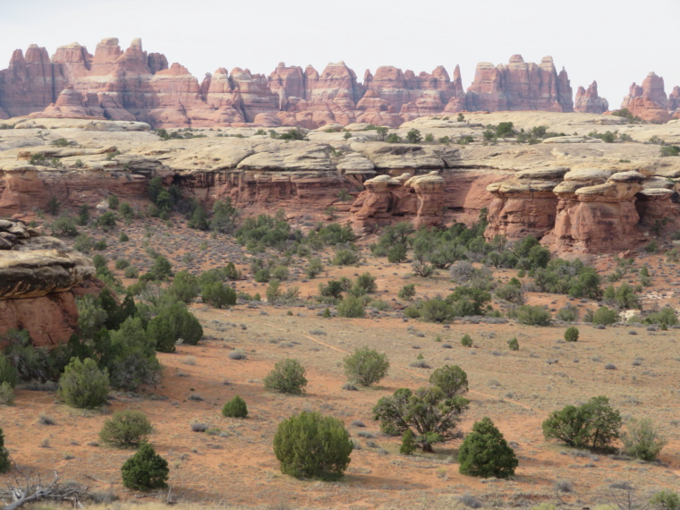 USA SW: Canyonlands NP, Circuit above Squaw Flats, the Needles, , Walkopedia