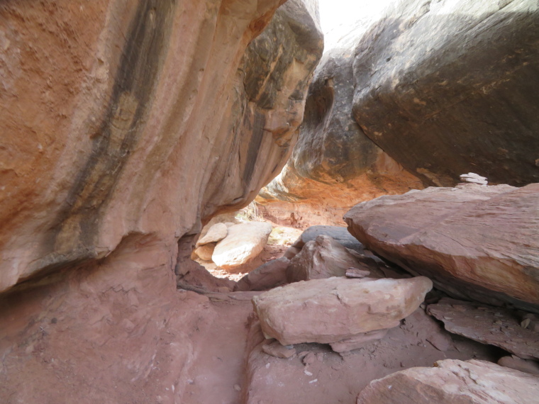 USA SW: Canyonlands NP, Circuit above Squaw Flats, the Needles, , Walkopedia