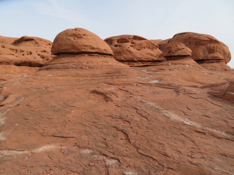 USA SW: Canyonlands NP, Circuit above Squaw Flats, the Needles, , Walkopedia