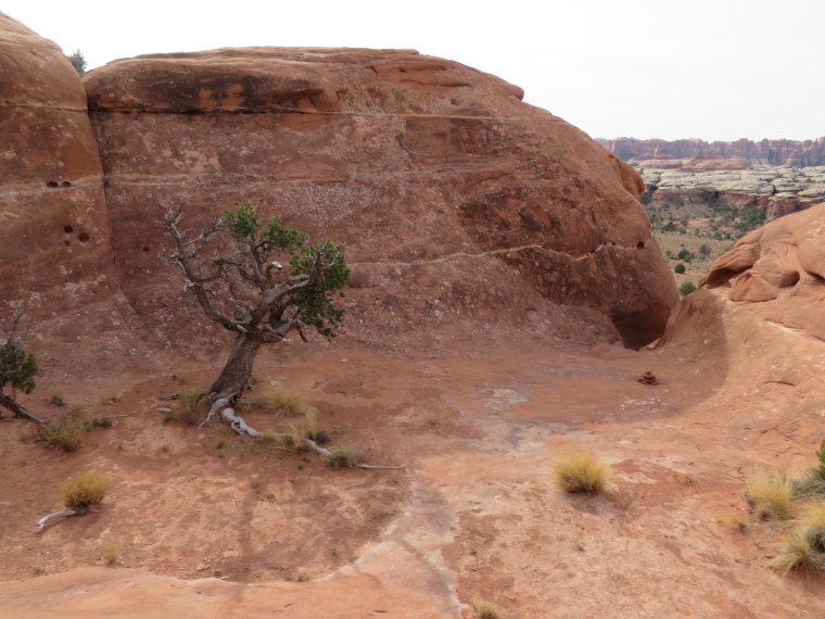 USA SW: Canyonlands NP, Circuit above Squaw Flats, the Needles, , Walkopedia