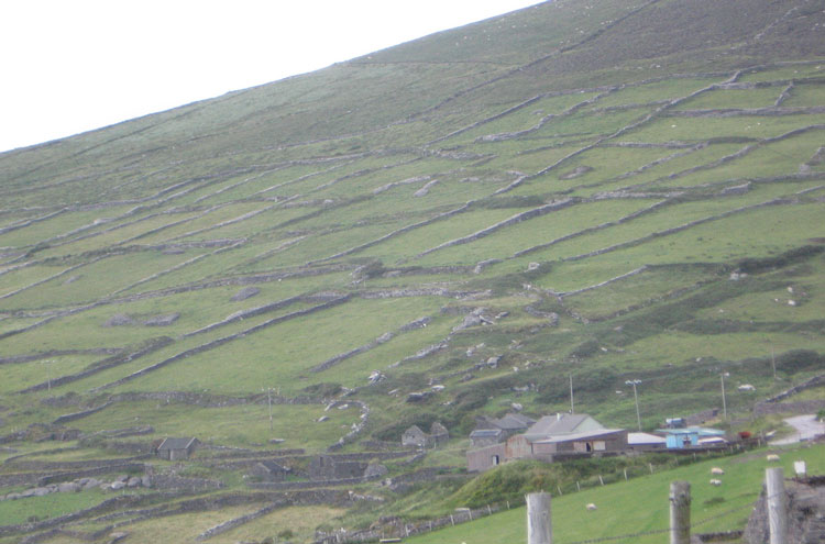 Ireland Kerry Dingle Peninsula, Dingle Peninsula, Dingle Peninsula Fields, Walkopedia