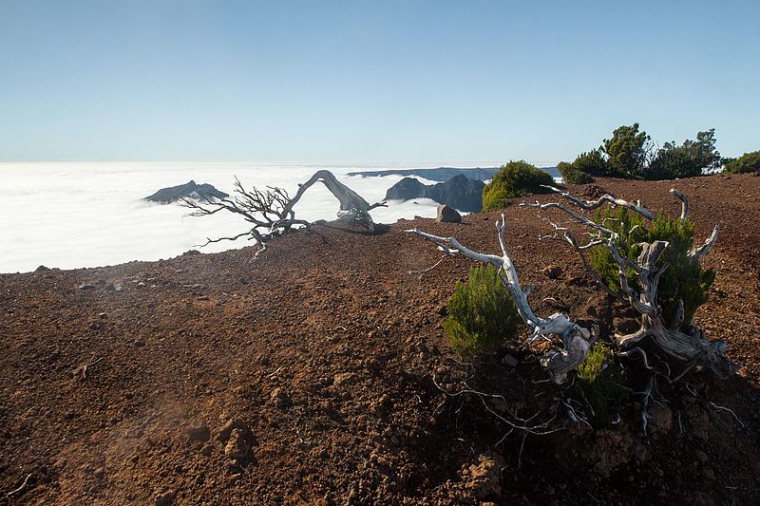 Pico Ruivo from Achado do Texeira: View from Pico Ruivo  - © Alexey Komarov