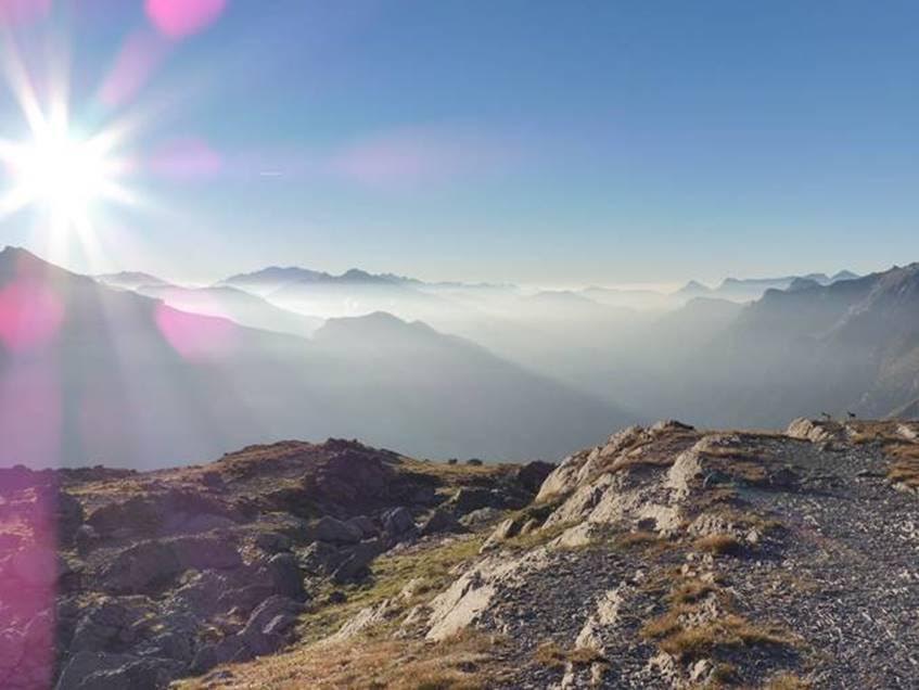 Spain Pyrenees, Pineta Valley, Isards (right) enjoying the early morning view from Balcon de Pineta, Walkopedia