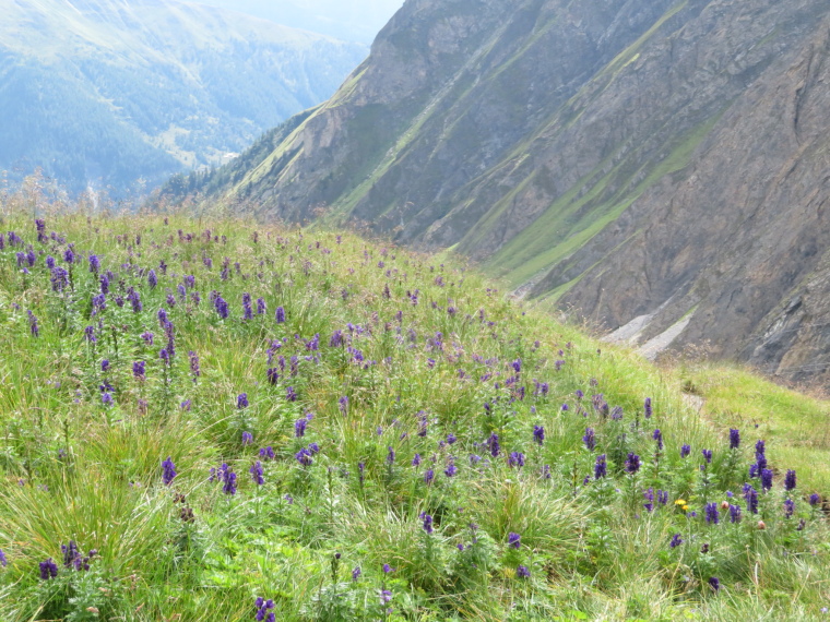 Austria Hohe Tauern, Above Kals am Grossglockner, Above Kodnitztal, Walkopedia