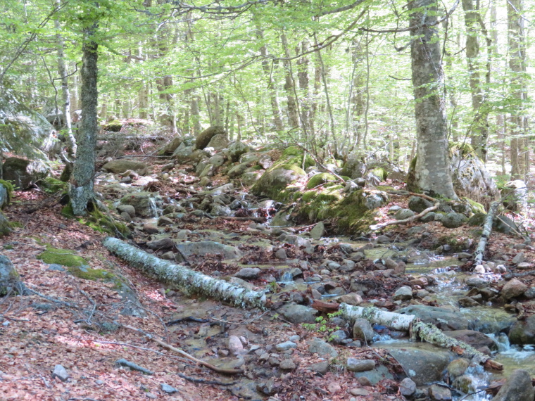 France Corsica: Northern Highlands, Evisa to Col de Vergio, , Walkopedia