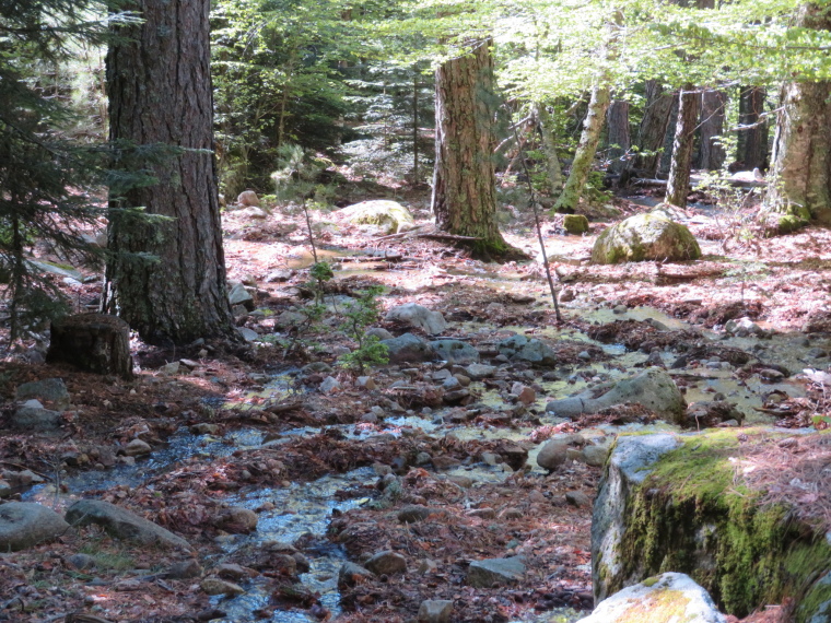 France Corsica: Northern Highlands, Evisa to Col de Vergio, Riverbed-path, Walkopedia