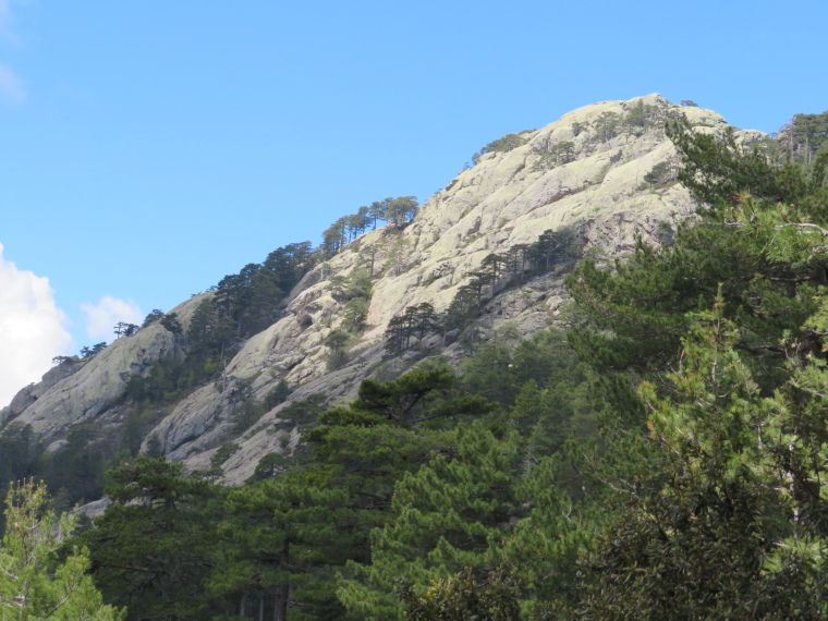 France Corsica: Northern Highlands, Evisa to Col de Vergio, Capu a Scala, Walkopedia