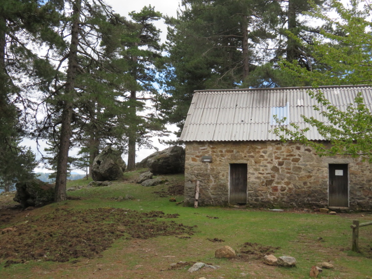 France Corsica: Northern Highlands, Evisa to Col de Vergio, Refuge at Bocca a u Saltu, Walkopedia