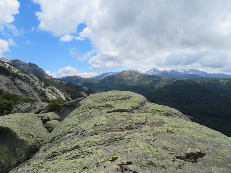 France Corsica: Northern Highlands, Evisa to Col de Vergio, , Walkopedia