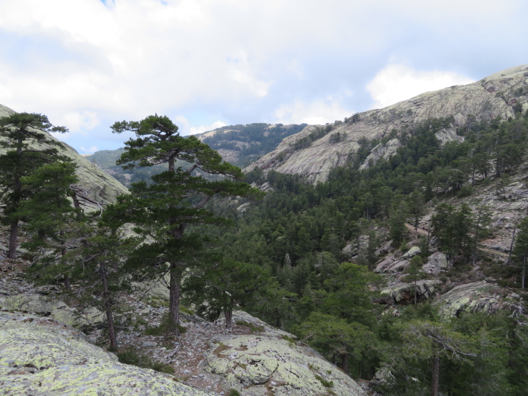 France Corsica: Northern Highlands, Evisa to Col de Vergio, , Walkopedia