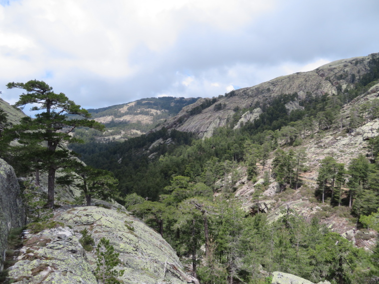 France Corsica: Northern Highlands, Evisa to Col de Vergio, Tough land, Bocca a u Saltu, Walkopedia