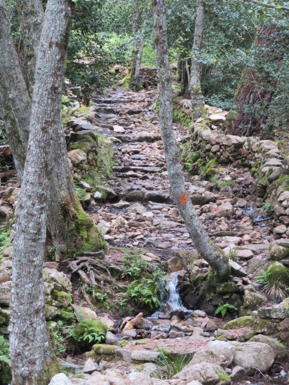 France Corsica: Northern Highlands, Evisa to Col de Vergio, Old mule trail, Walkopedia