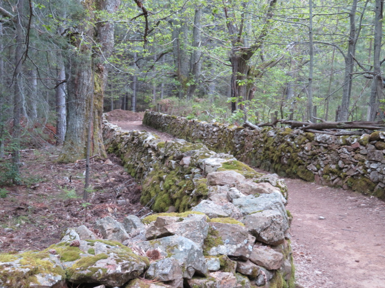 France Corsica: Northern Highlands, Evisa to Col de Vergio, , Walkopedia