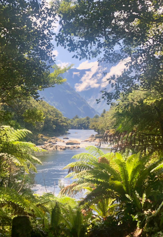 New Zealand South Island, Milford Track, , Walkopedia