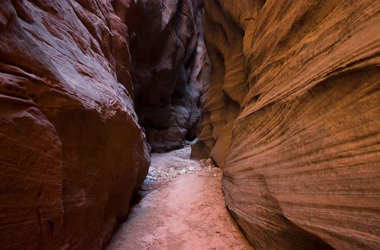 USA South-west, Utah's Slot Canyons, Buckskin Gulch to Paria Canyon, Walkopedia