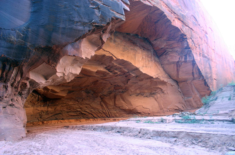 USA South-west, Utah's Slot Canyons, Buckskin Gulch to Paria Canyon, Walkopedia