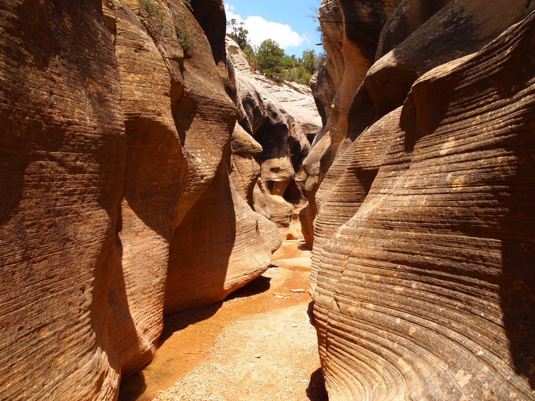 USA South-west, Utah's Slot Canyons, Willis Creek , Walkopedia