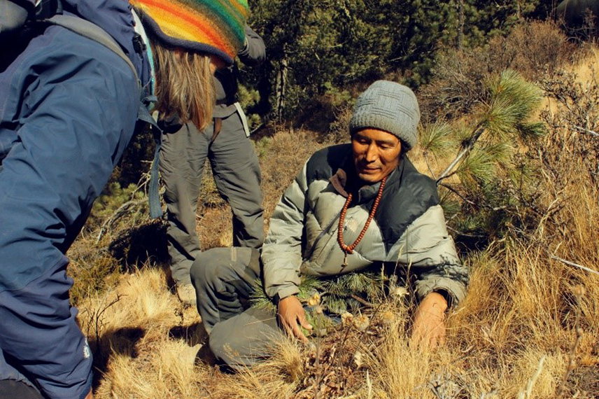 Nepal Dolpo, Dolpo, Exploring the woods near Ringmo with the Amchi, Walkopedia