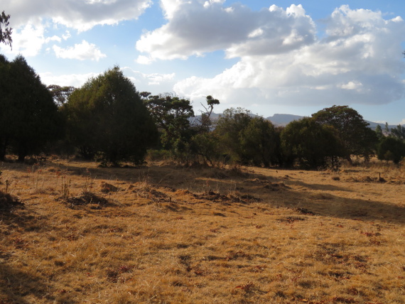 Ethiopia South Bale Mts, Sangay Grassland and Park HQ Reserve, Park HQ reserve, evening light, Walkopedia