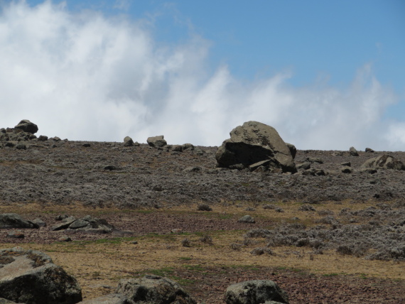 Ethiopia South Bale Mts, Sanetti Plateau, , Walkopedia