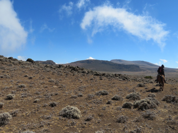 Ethiopia South Bale Mts, Sanetti Plateau, , Walkopedia