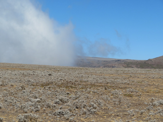 Ethiopia South Bale Mts, Sanetti Plateau, , Walkopedia