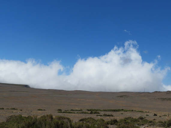 Ethiopia South Bale Mts, Sanetti Plateau, , Walkopedia