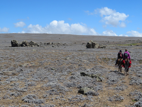 Ethiopia South Bale Mts, Sanetti Plateau, , Walkopedia