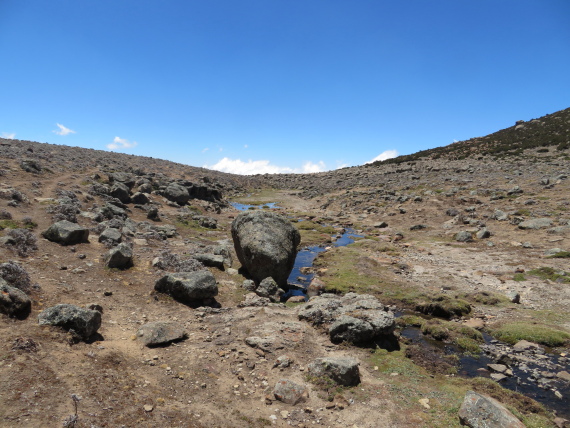 Ethiopia South Bale Mts, Sanetti Plateau, , Walkopedia