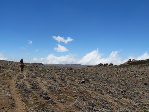 Ethiopia South Bale Mts, Sanetti Plateau, , Walkopedia