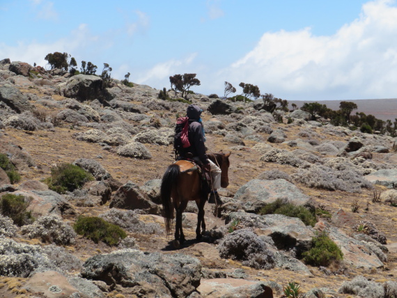 Ethiopia South Bale Mts, Sanetti Plateau, , Walkopedia