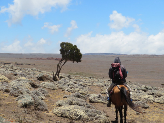 Ethiopia South Bale Mts, Sanetti Plateau, , Walkopedia