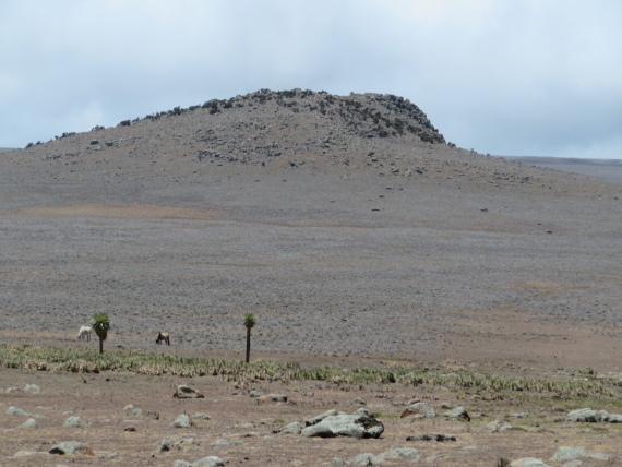 Ethiopia South Bale Mts, Sanetti Plateau, , Walkopedia