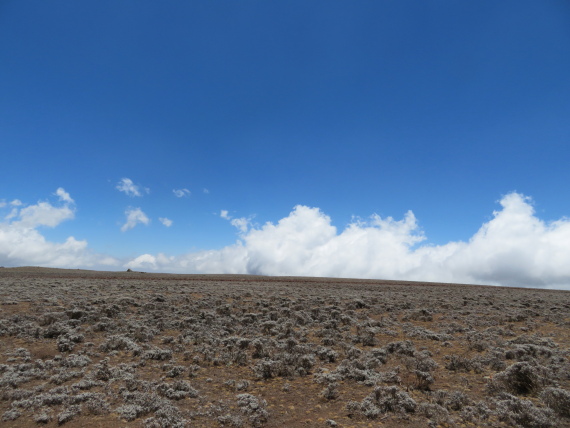 Ethiopia South Bale Mts, Sanetti Plateau, , Walkopedia